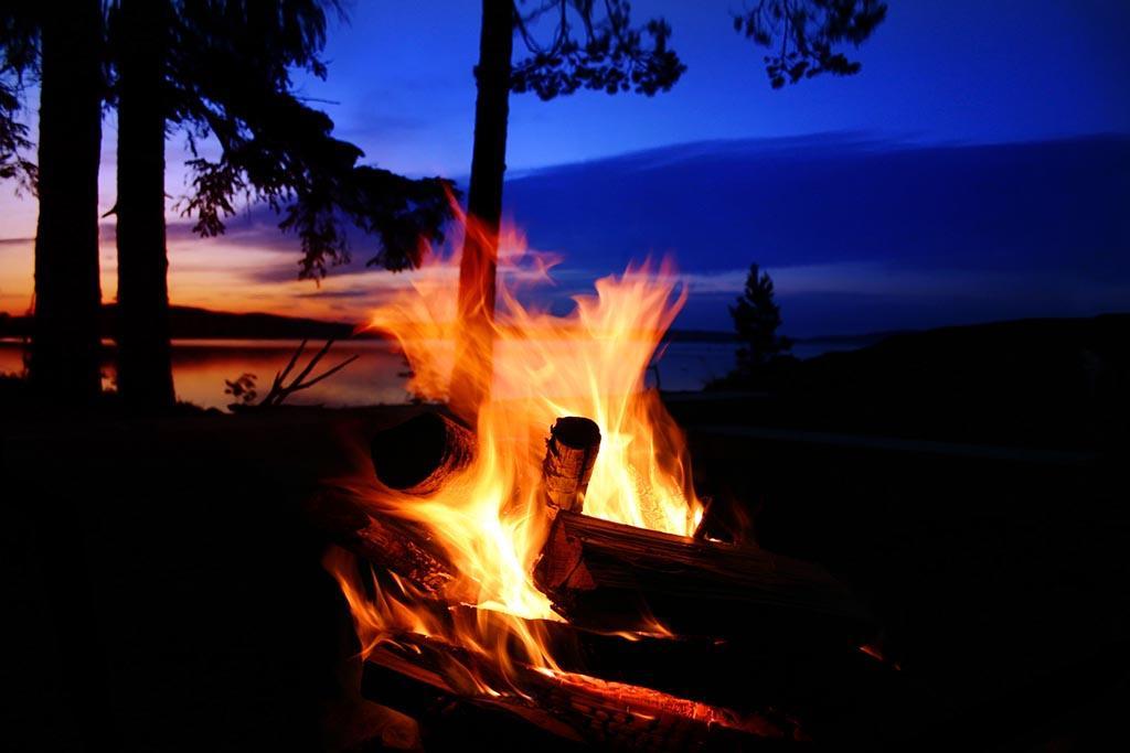 Rainbow Pines Tourist Caravan Park Adaminaby Εξωτερικό φωτογραφία